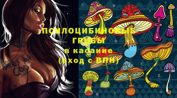 мескалин Козловка