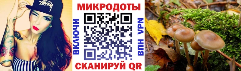 где купить наркоту  Суровикино  Галлюциногенные грибы мицелий 